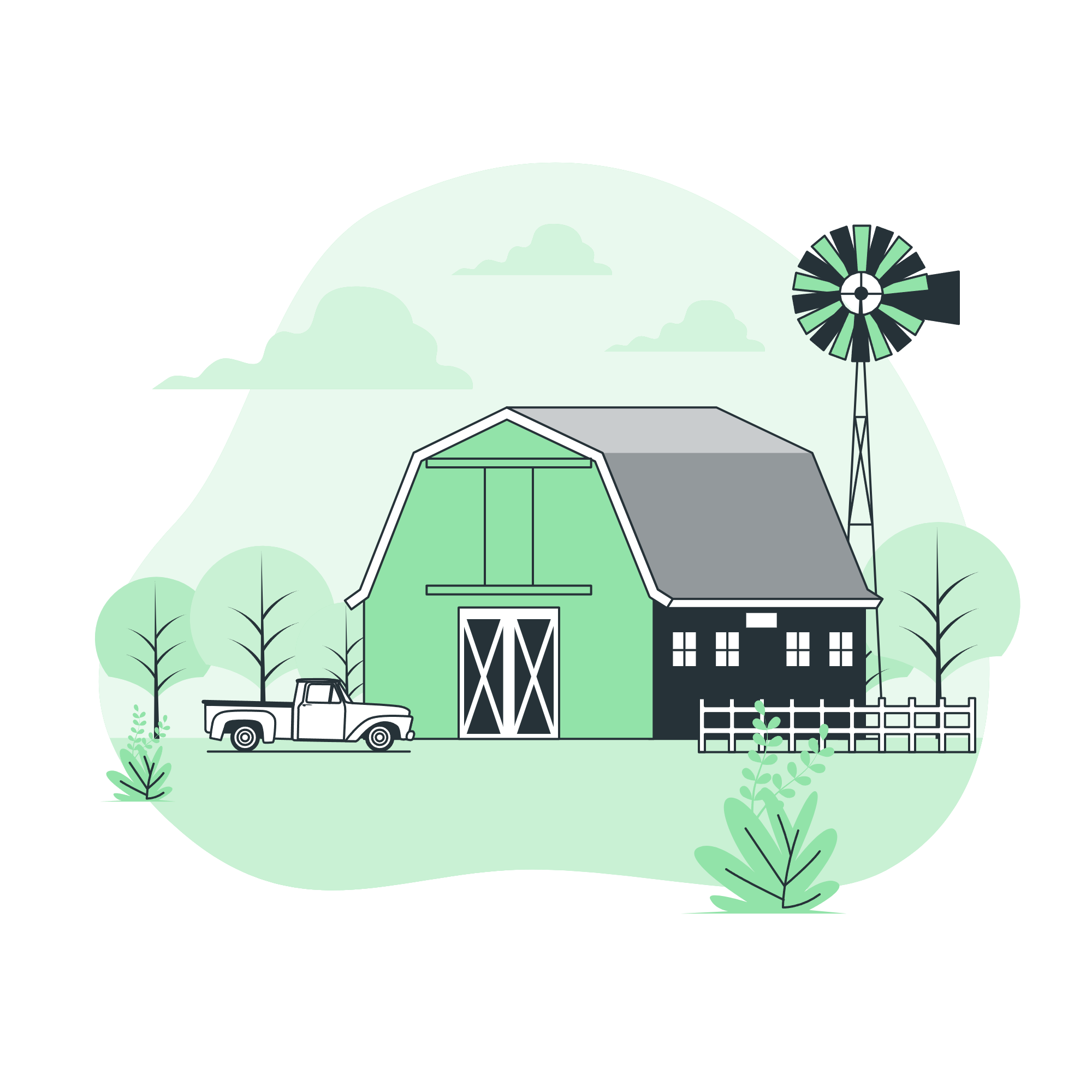 Bitki Hastalıkları Tespiti